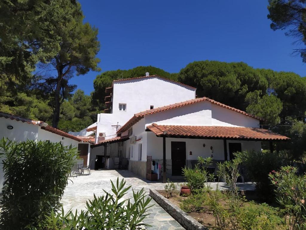 Villa Nikos Koukounaries Exteriör bild