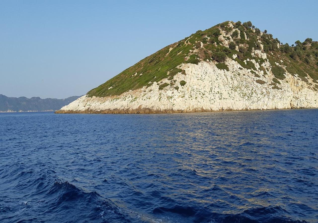 Villa Nikos Koukounaries Exteriör bild