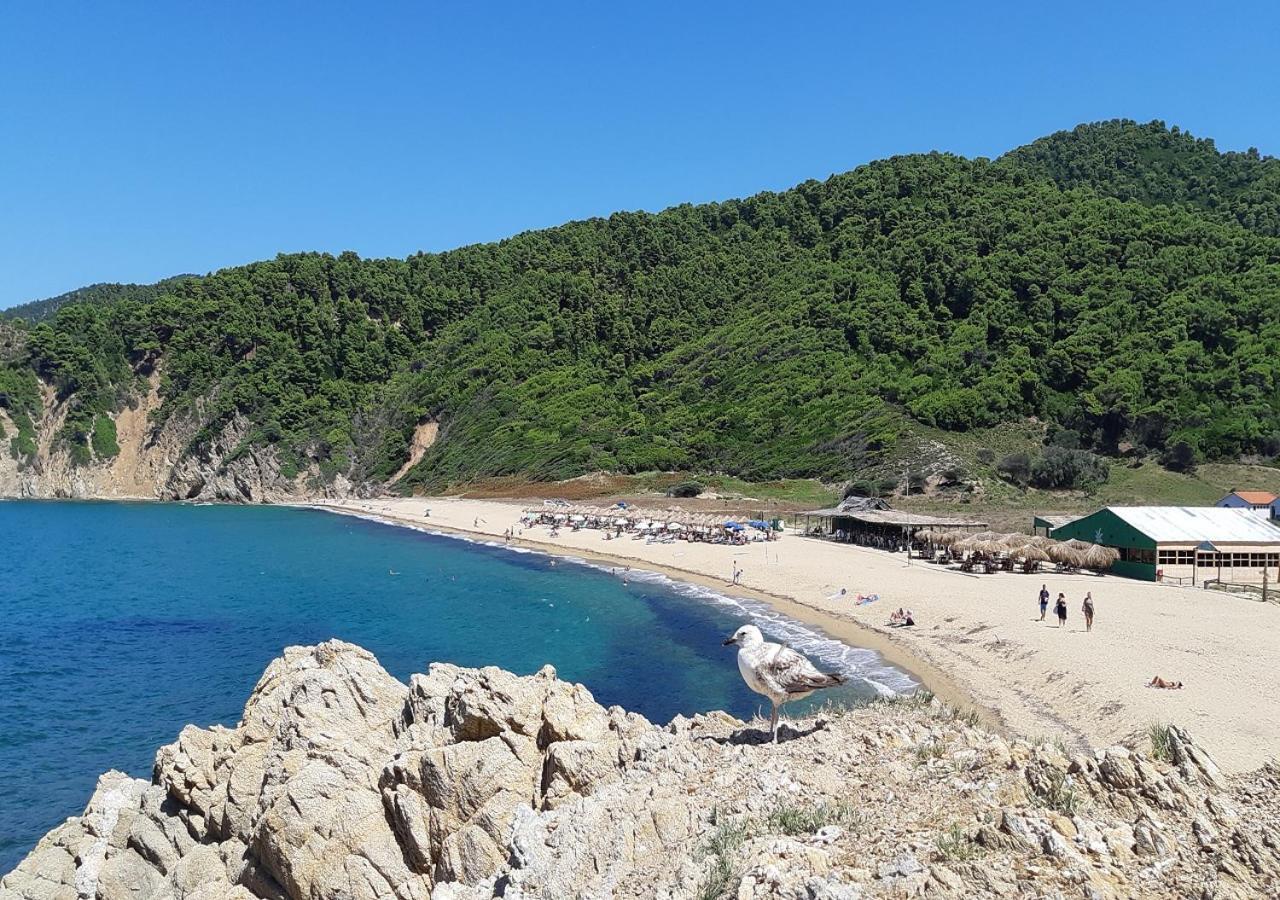 Villa Nikos Koukounaries Exteriör bild